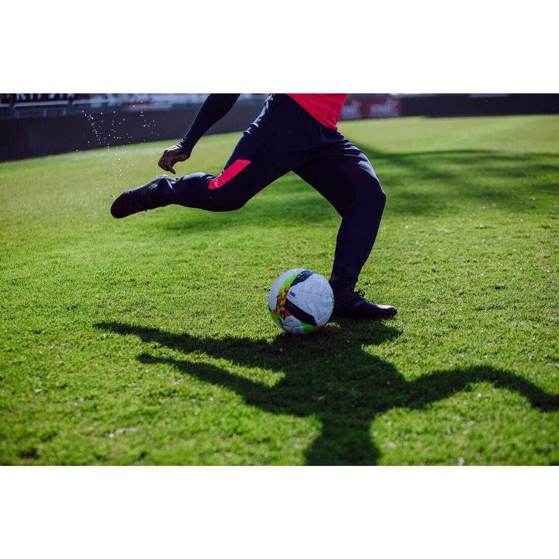 IMG_8612813_9