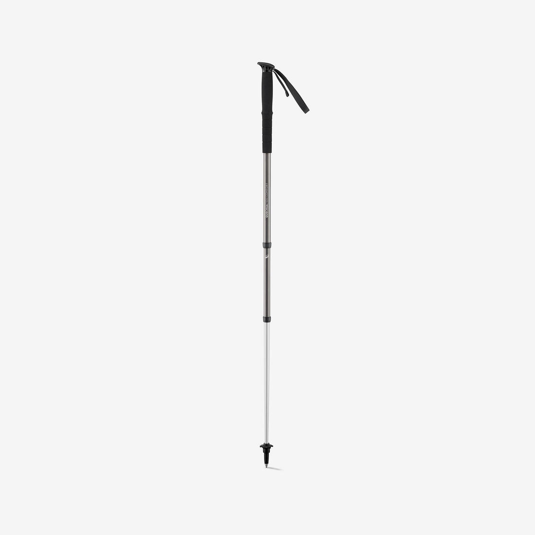 IMG_8959597_2