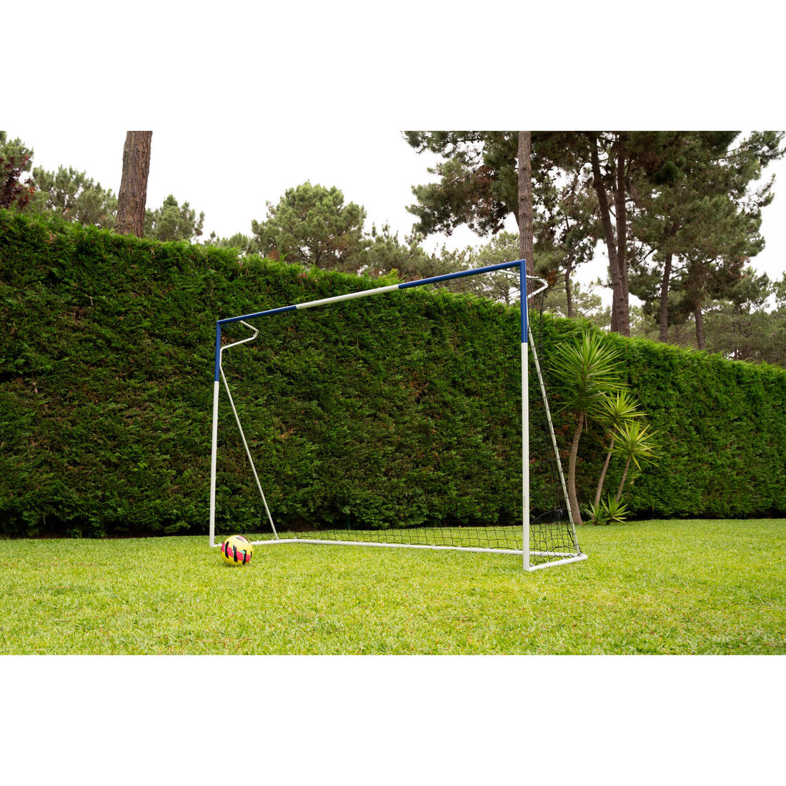 IMG_8911560_15