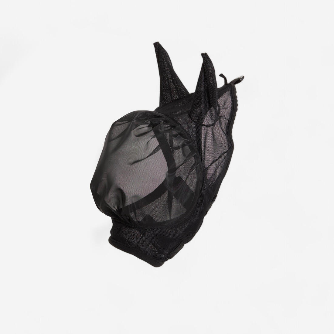 IMG_8600405_1