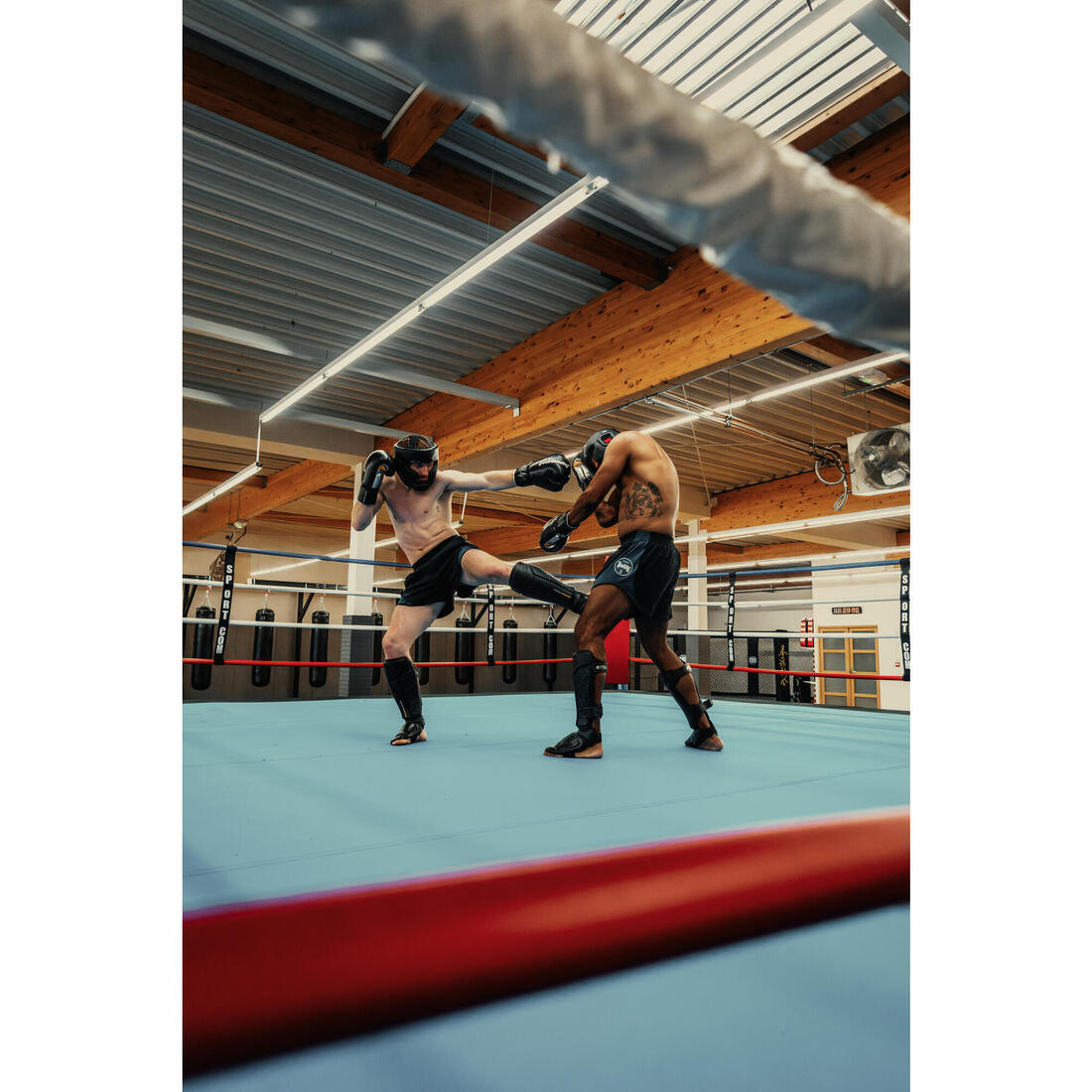 IMG_8751236_9