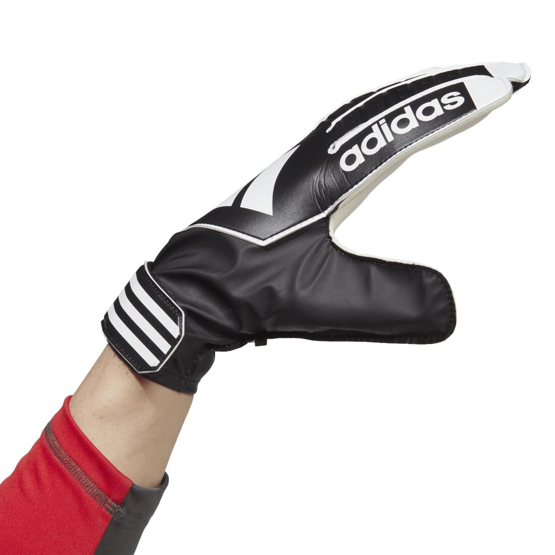 IMG_1008899068_2