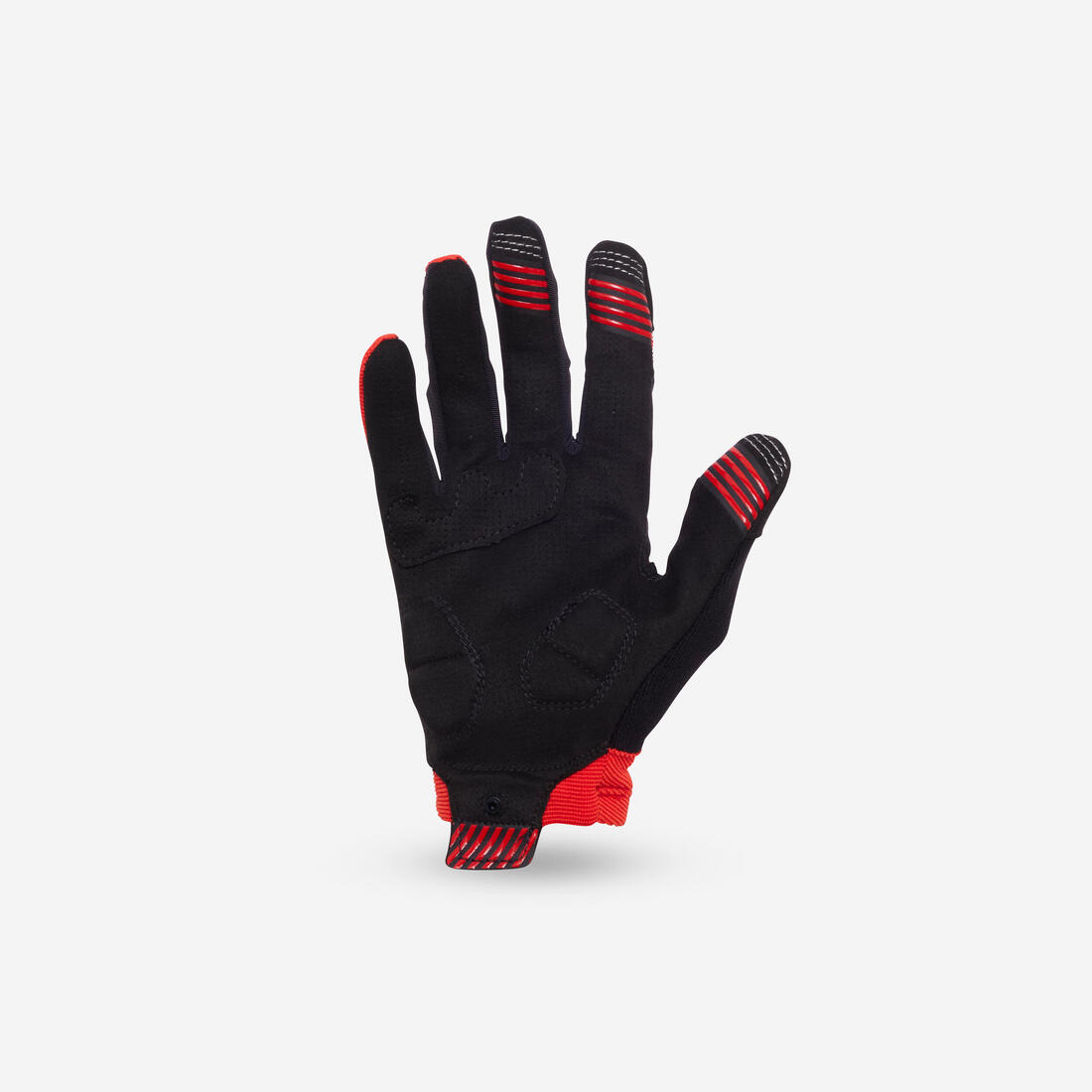 IMG_8573211_5