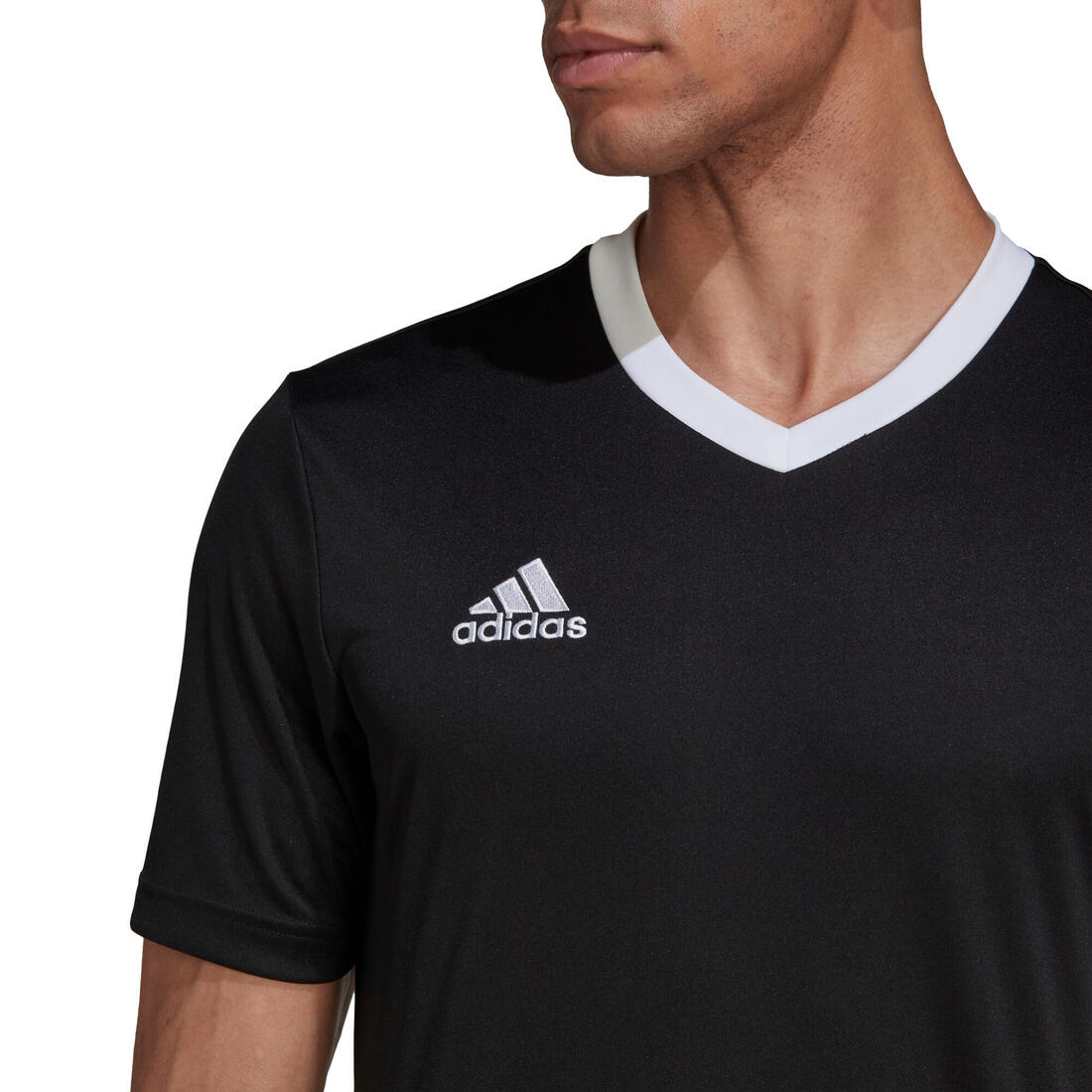 IMG_1008742545_4