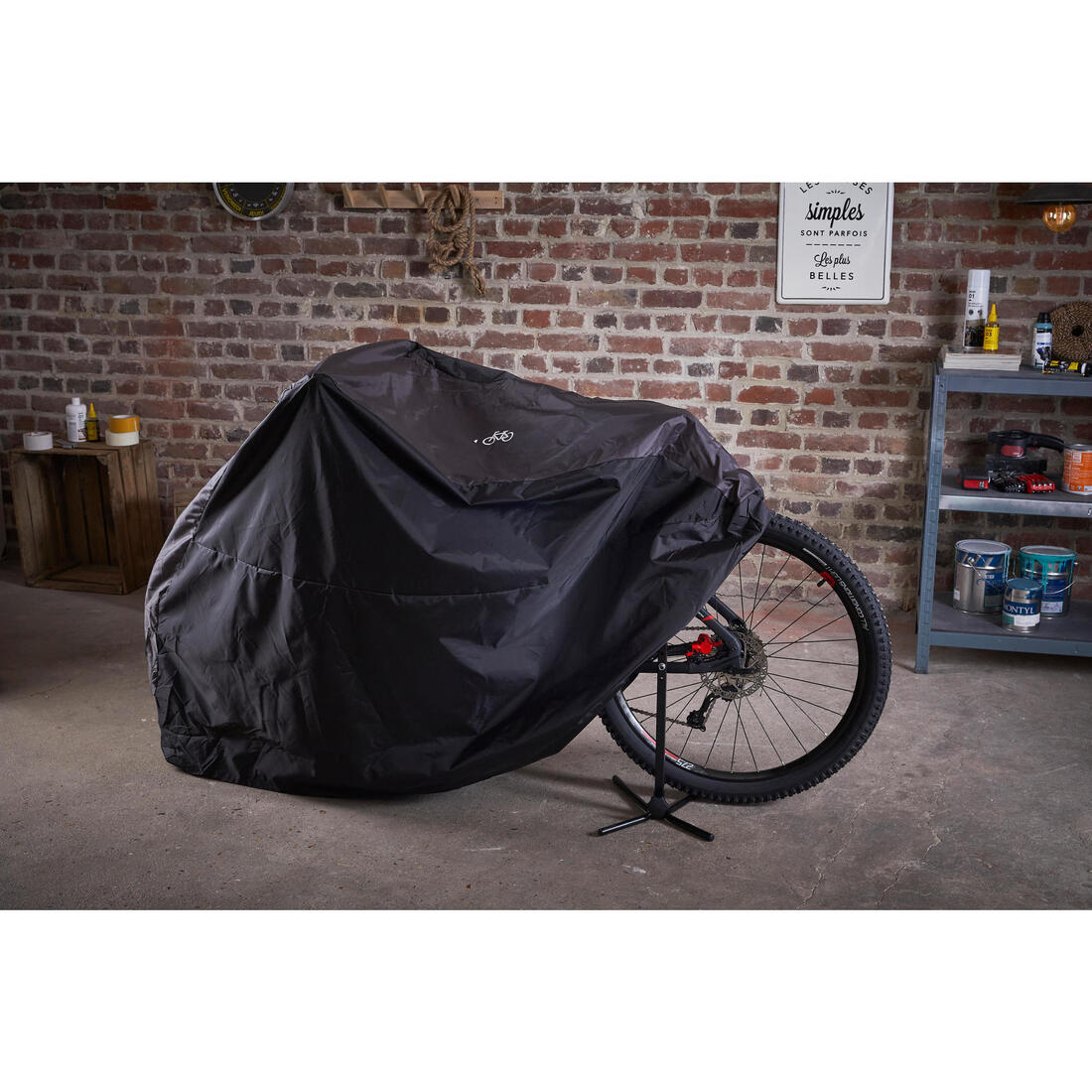 IMG_8549581_7