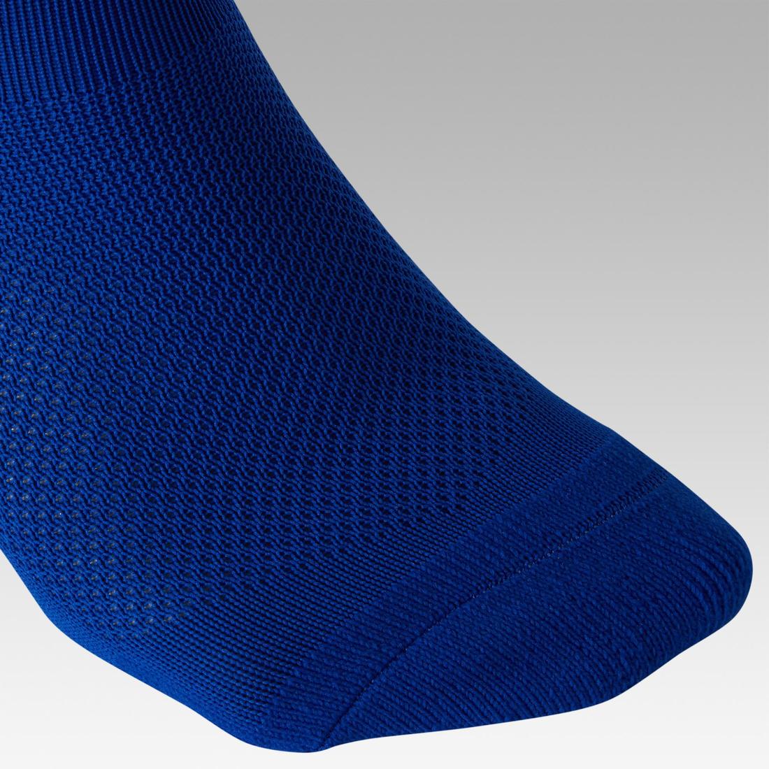 IMG_8495633_5