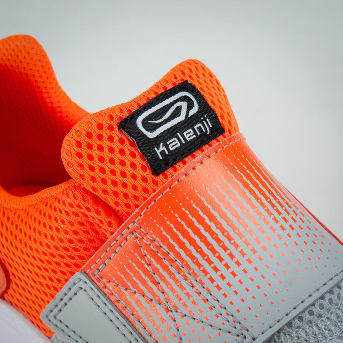 IMG_8505239_8
