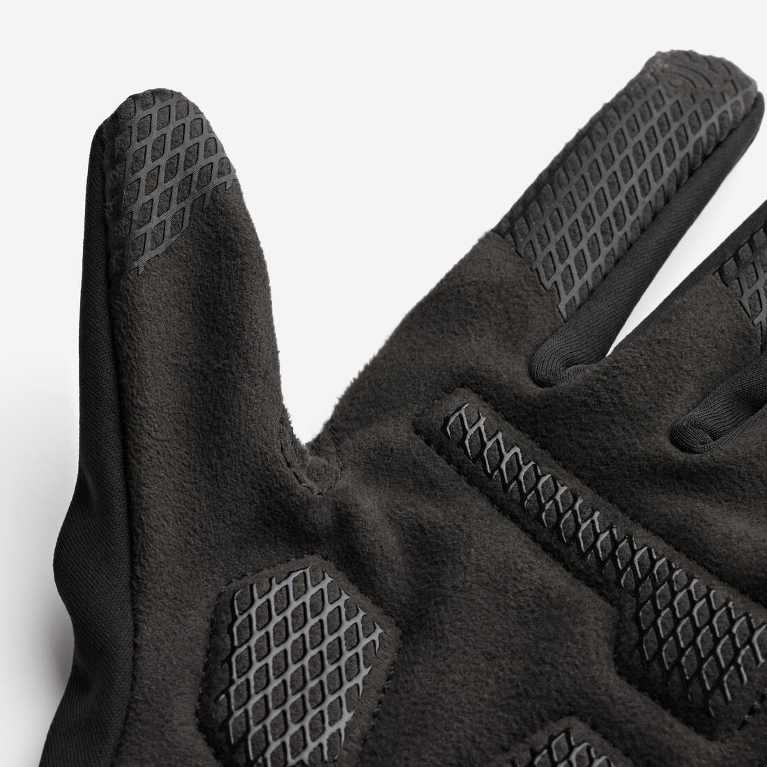 IMG_8398148_5