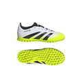 IMG_1009029710_4