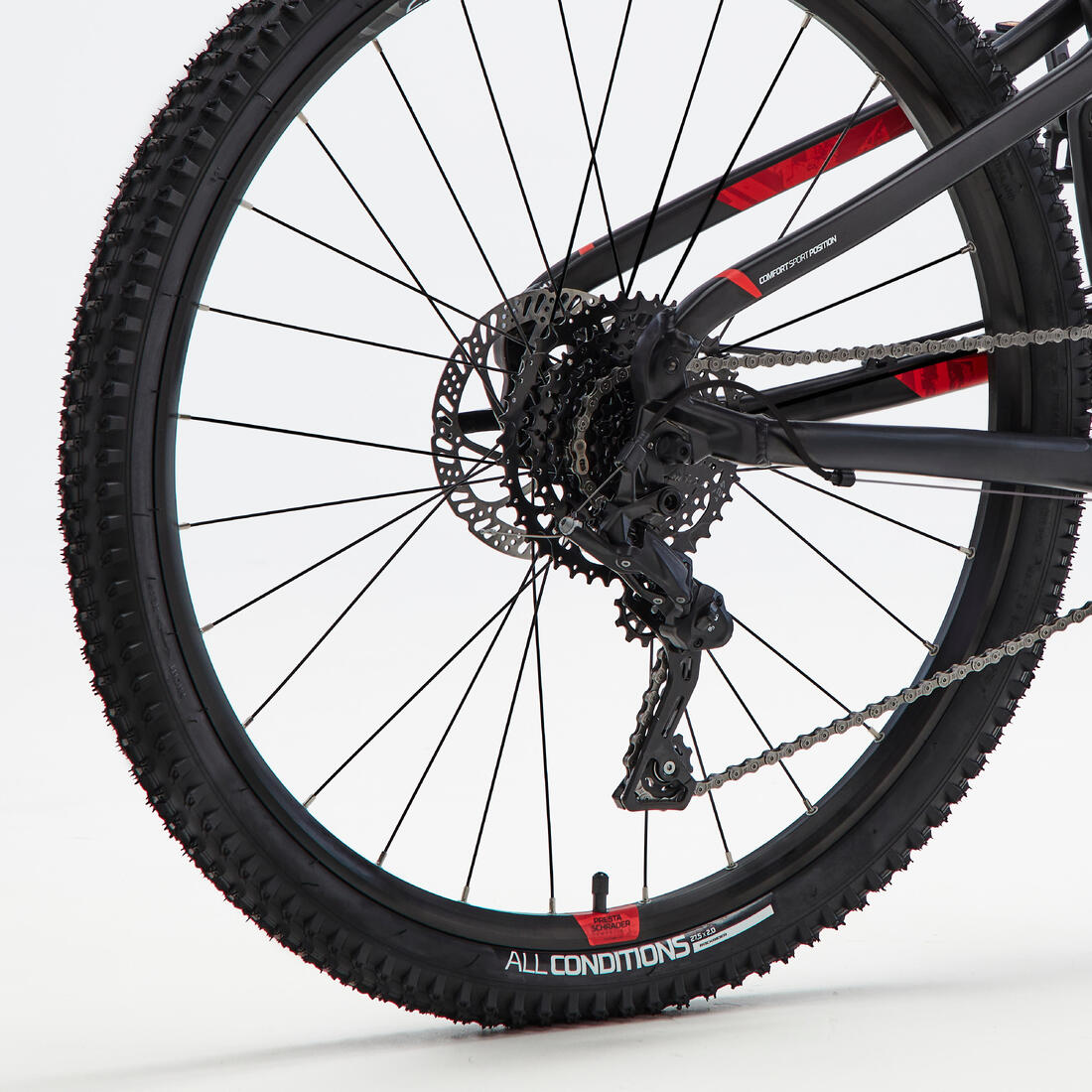 IMG_8555876_7
