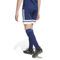 IMG_1009029732_2