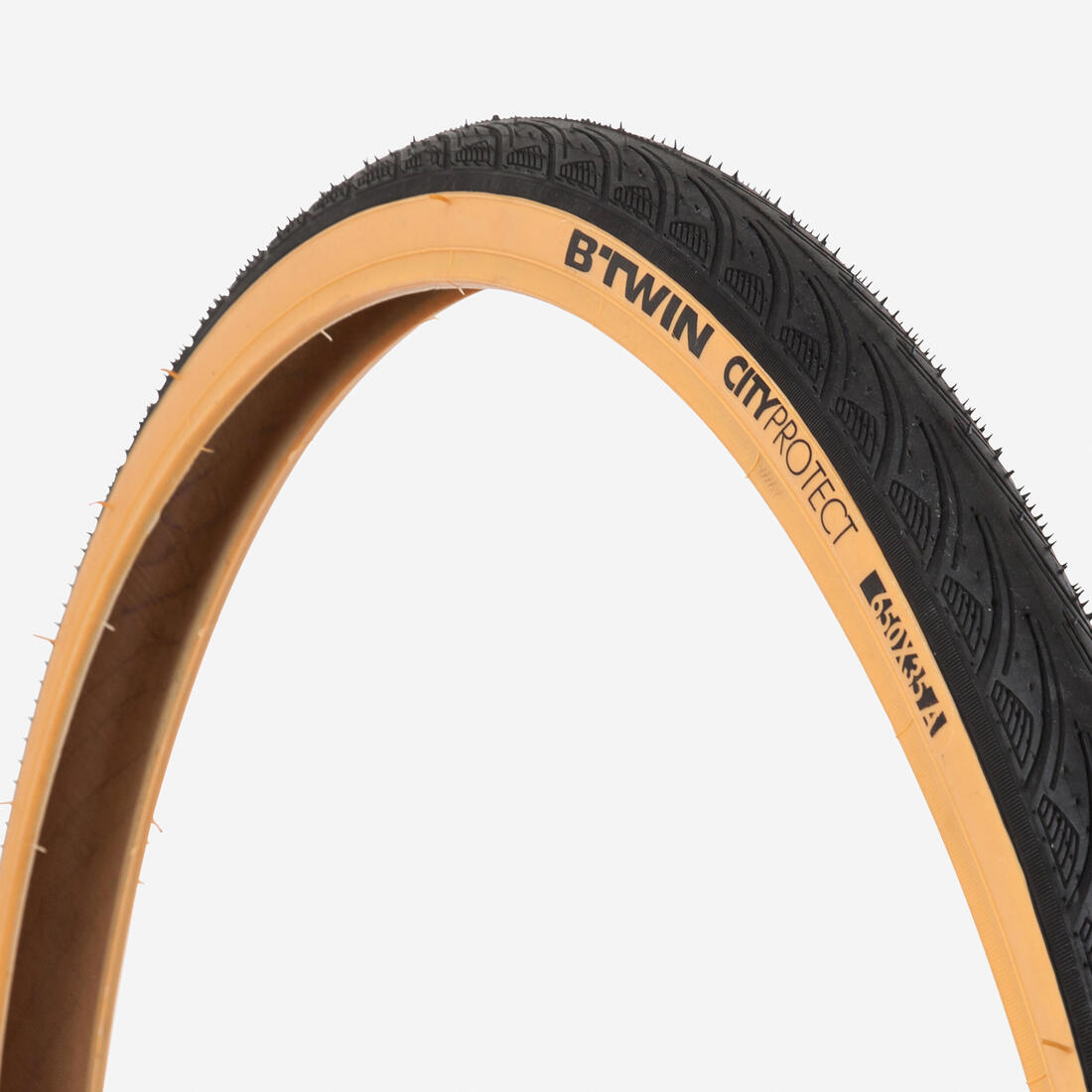 IMG_8487118_1
