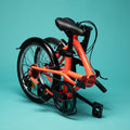 IMG_8563415_10