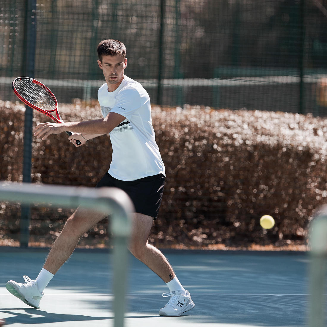 IMG_8559598_9