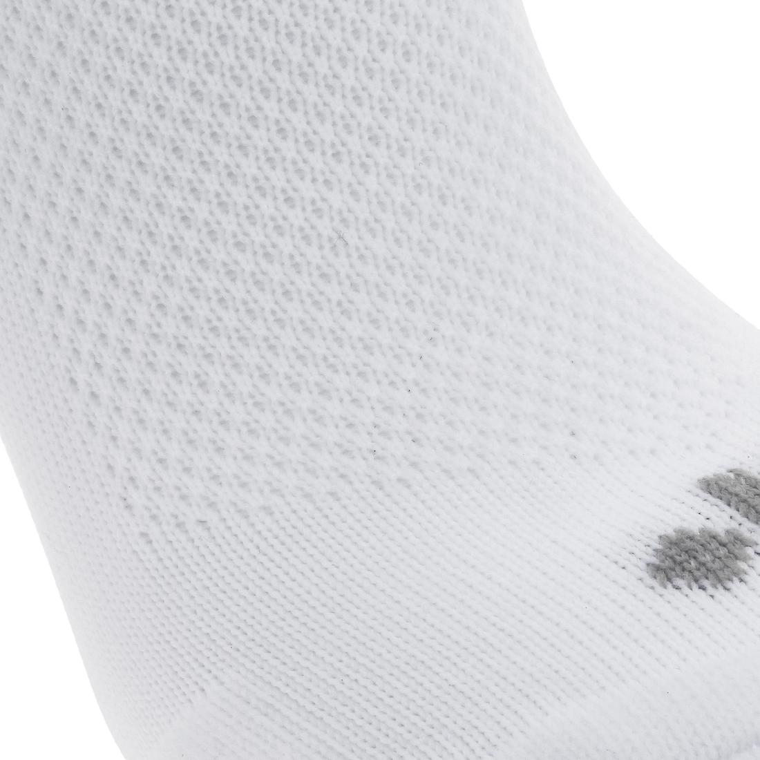 IMG_8350125_10