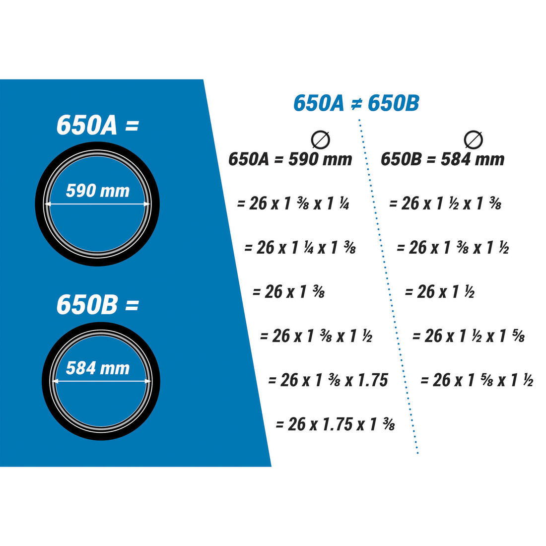 IMG_8487118_4