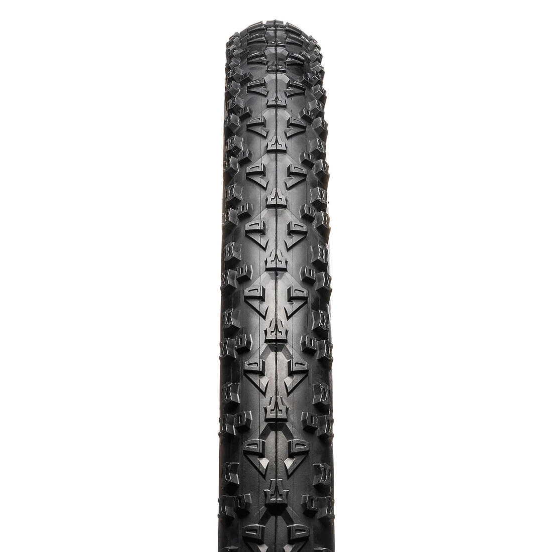 IMG_1008626062_2