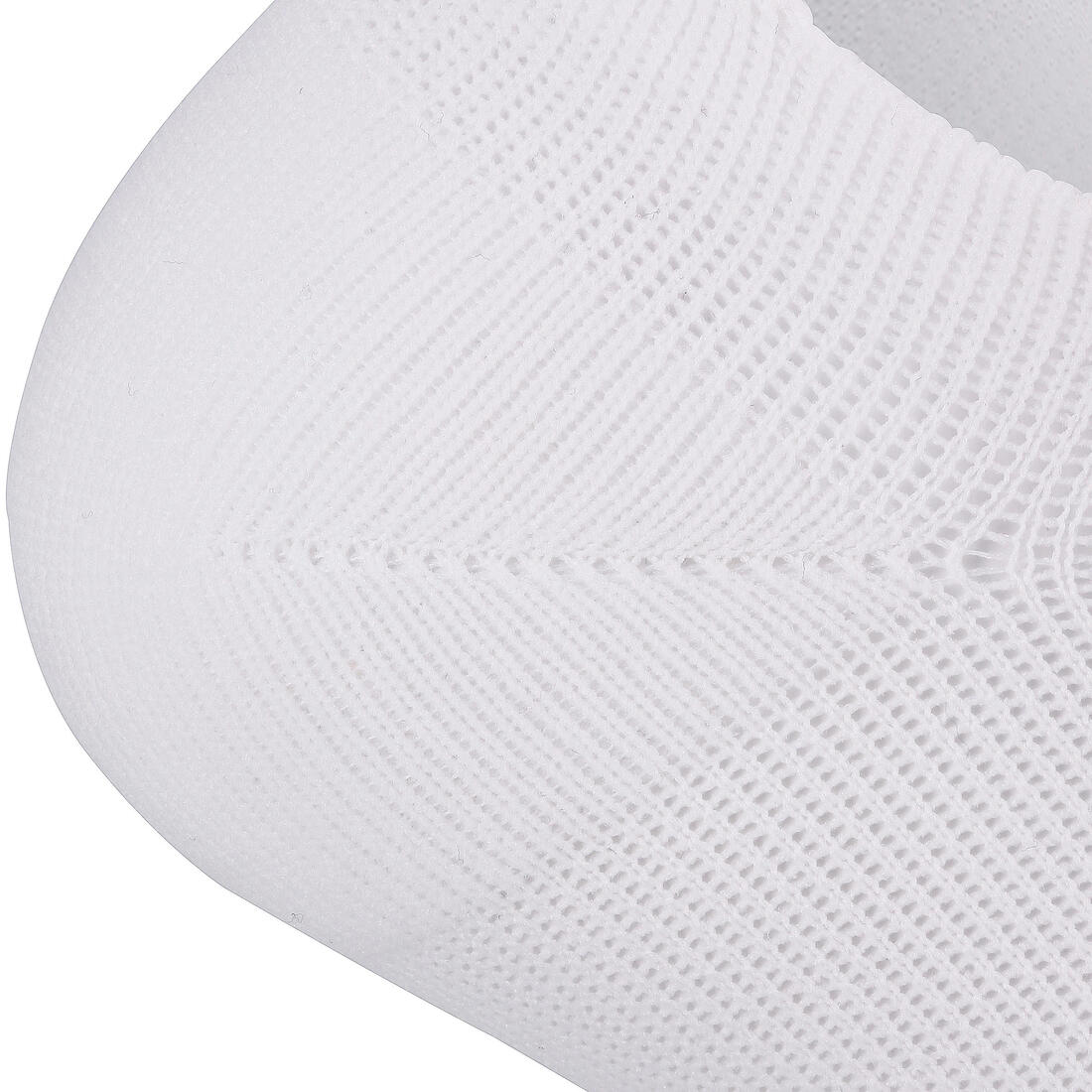 IMG_8353156_2